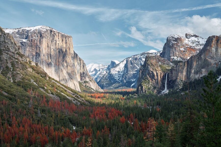 San Francisco to/from Yosemite National Park: 1-Way Transfer - Who gets the best value from this transfer