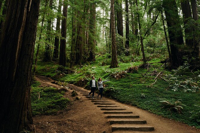 San Francisco to Muir Woods Shuttle - Entering Muir Woods and meeting the redwoods
