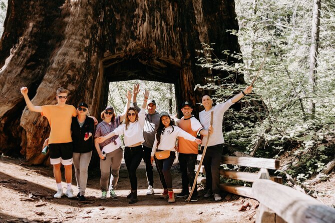San Francisco to Yosemite One-Way Transfer - Key points to know before booking