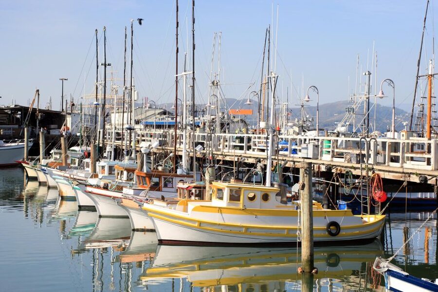 San Francisco Ultimate City Tour with Bay Cruise Option - Adding the one-hour Bay cruise