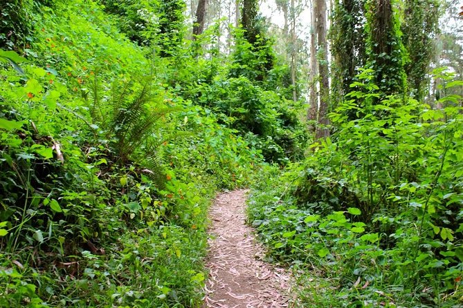 San Francisco Urban Hike: Castro and Twin Peaks - Reaching Twin Peaks by a local path
