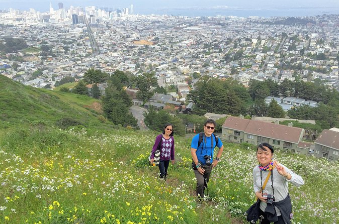 San Francisco Urban Hike: Castro and Twin Peaks - Through the eucalyptus forest behind Sutro Tower
