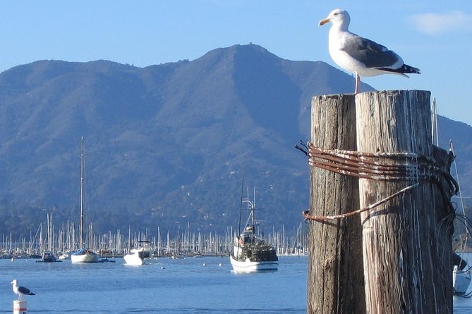 Sausalito Ferry from Pier 41, San Francisco - Why this ferry is one of San Francisco’s easiest day trips