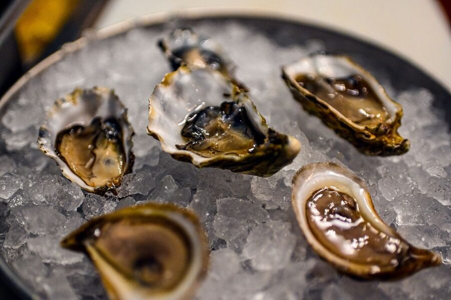 Secret Food Tours San Francisco - Quesabirria brings the heart of Mexico