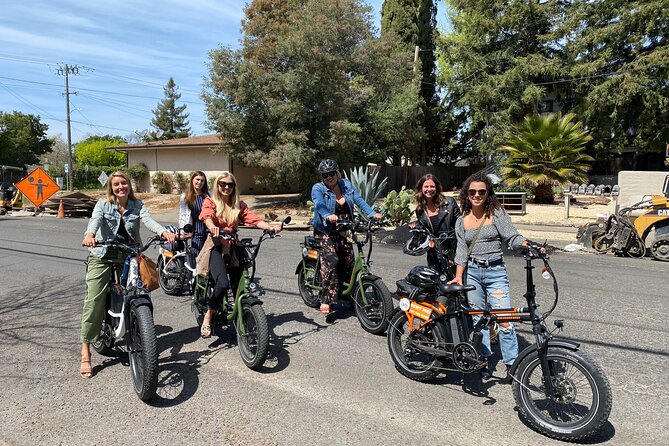 Self Guided Full Day E-bike Rental With Picnic Lunch - Is $149 a fair deal?