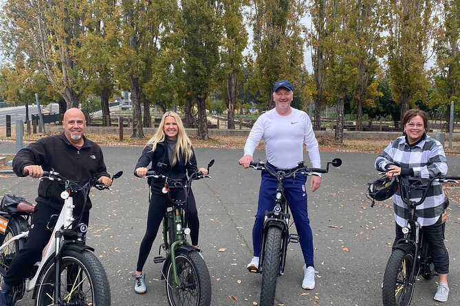 Self Guided Full Day E-bike Rental With Picnic Lunch - Who will enjoy this Napa e-bike rental?