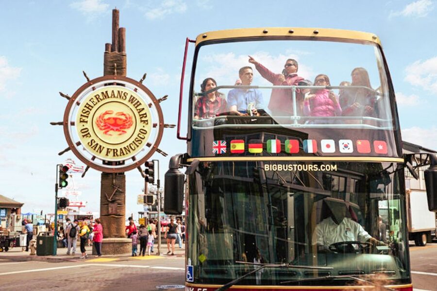 SF: Golden Gate Cruise & Hop-On Hop-Off Bus Tour (Save 15%) - Golden Gate Bridge, the Palace of Fine Arts, and the Marina