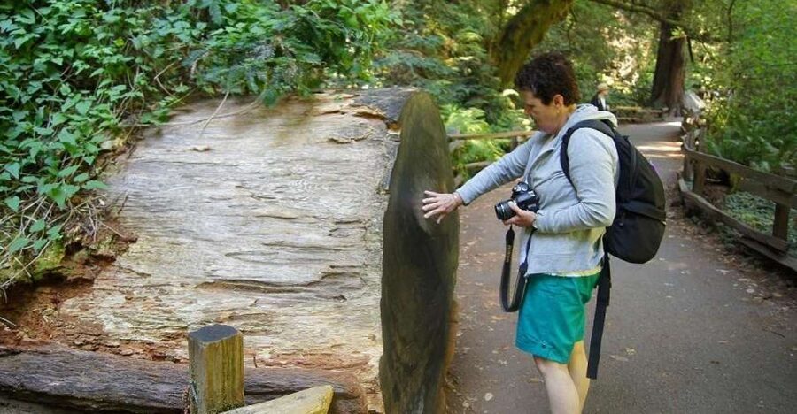 SF: Guided Muir Woods Tour & Hop-On Hop-Off Tour (Save 15%) - Key points to know