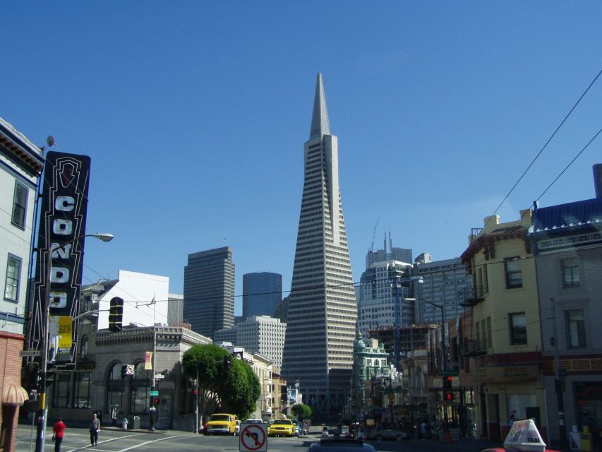 SF: Guided Muir Woods Tour & Hop-On Hop-Off Tour (Save 15%) - Why the redwoods make this bundle worthwhile
