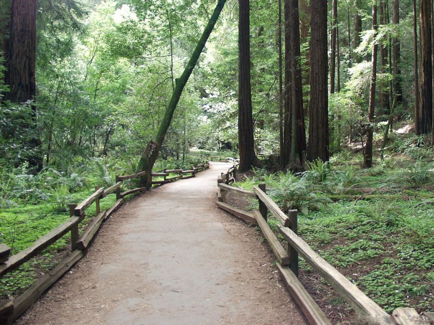 SF: Guided Muir Woods Tour & Hop-On Hop-Off Tour (Save 15%) - The Chinatown walking tour adds a closer look
