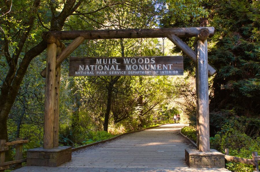SF: Muir Woods, Sausalito, Golden Gate Bridge Private Tour - Marin Headlands, where the bay opens wide