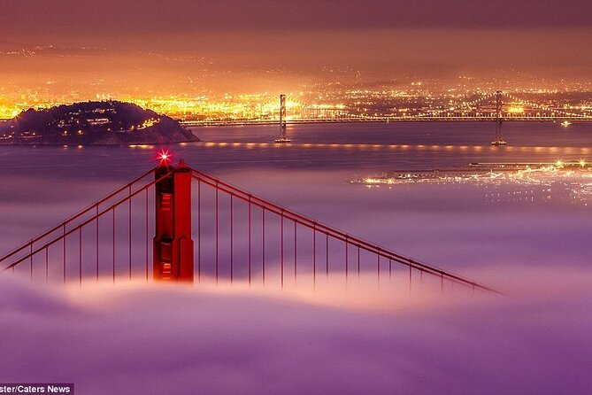 SFO Pick-Up with City Sightseeing Tour - What the private SUV changes