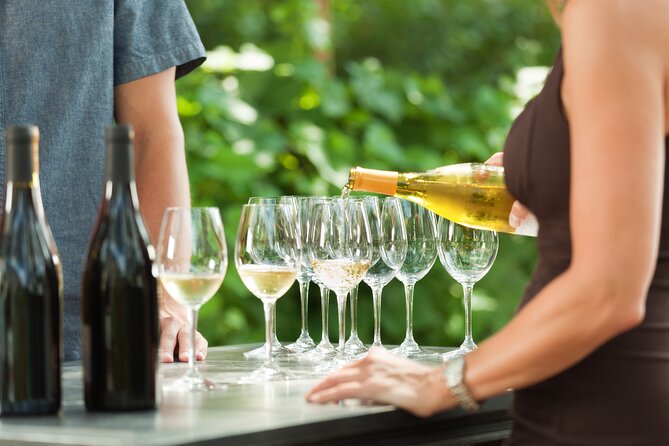 Small-Group Giant Redwoods and Russian River Wine Country Trip - Key points to know before booking