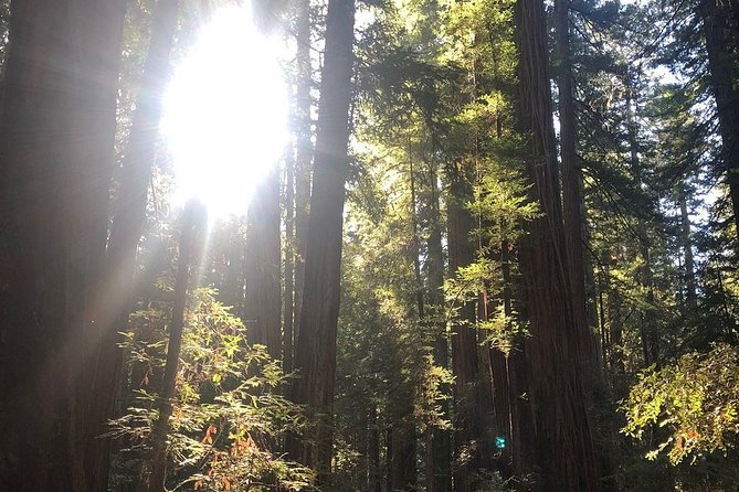 Small-Group Giant Redwoods and Russian River Wine Country Trip - Golden Gate Bridge views before the countryside