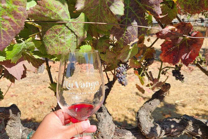 Small Group Napa and Sonoma Full-Day Wine Tour from San Francisco - Sonoma Plaza: ninety minutes for lunch and a look around