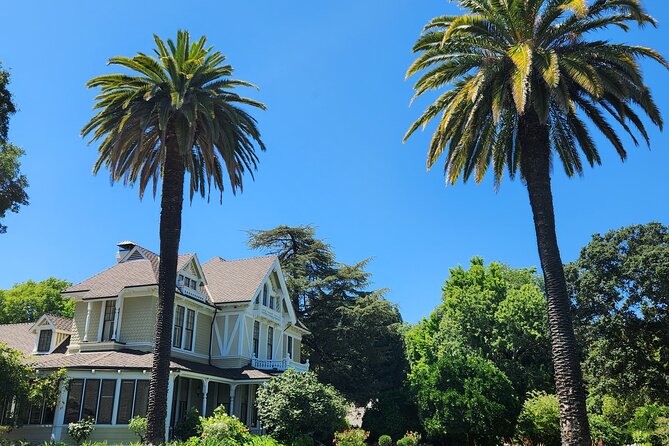 Small Group Napa and Sonoma Half-Day Wine Tour from San Francisco - Food, comfort, and what to pack