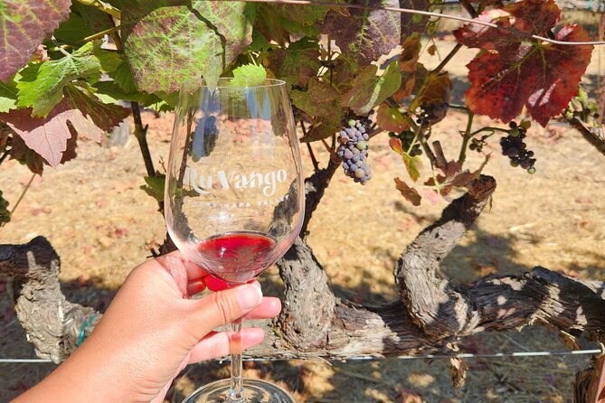 Small Group Napa and Sonoma Half-Day Wine Tour from San Francisco - Is $129 a fair price?