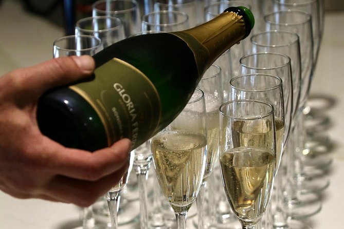 Small Group Napa and Sonoma Half-Day Wine Tour from San Francisco - Who should book this experience?