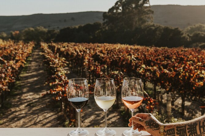 Small Group: Ultimate Napa & Sonoma Wine Tour from San Francisco - What the guides add to a long day