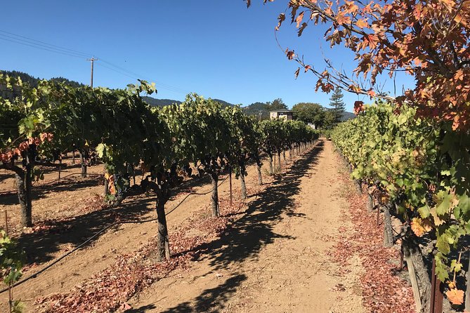 Small-Group Wine Country Tour from San Francisco with Tastings - The guides shape the tone of the day