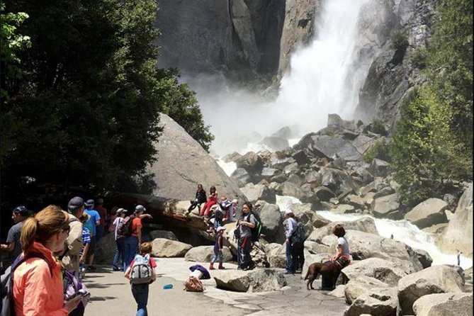 Small Group Yosemite and Giant Sequoias Day Trip from San Francisco - Two hours in Yosemite Valley