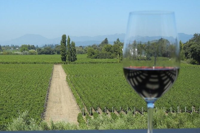 Sonoma and Napa Wine Tour 3 Tastings Included Small-Group Tour - Homewood Winery and the value of a personal presentation