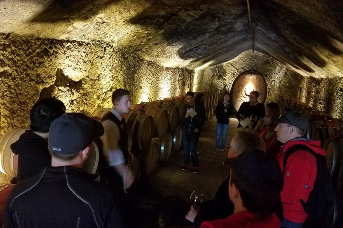 Sonoma County Wine Segway Tour - What the small group changes