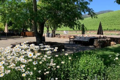 Sonoma or Napa -8hr- Private Wine Tour with Concierge Service