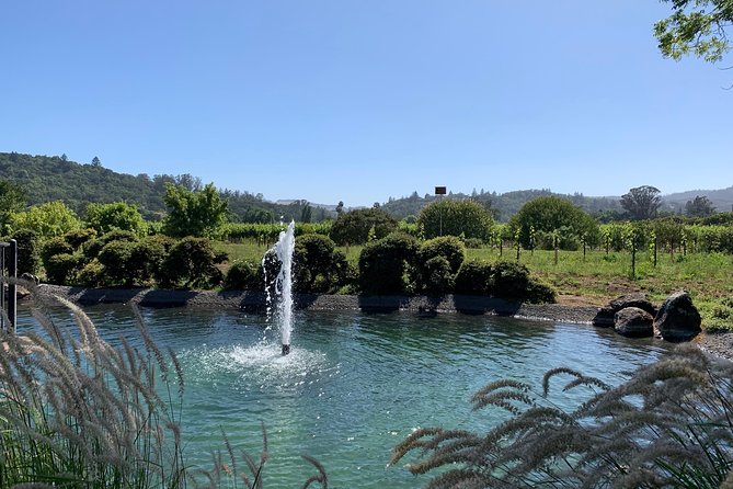 Sonoma or Napa -8hr- Private Wine Tour with Concierge Service - What the driver adds to the day