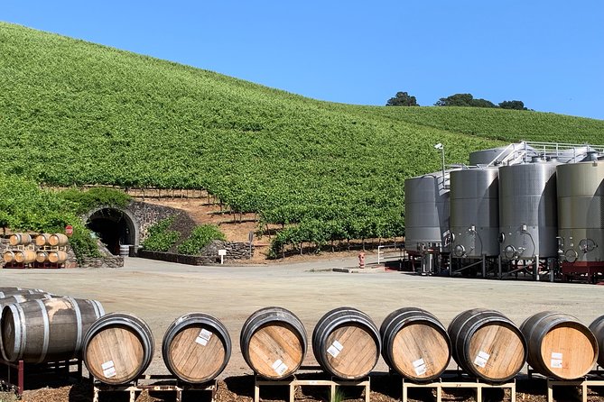 Sonoma or Napa -8hr- Private Wine Tour with Concierge Service - Who will like this private Napa and Sonoma day
