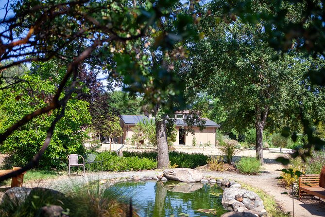 Sonoma Trike and Mindfulness - 3 hour guided tour - One hour and 15 minutes through Sonoma