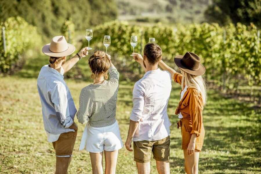 Sonoma Valley: Guided Winery Tour with Picnic Lunch - Three Small Wineries Instead of One Big Estate