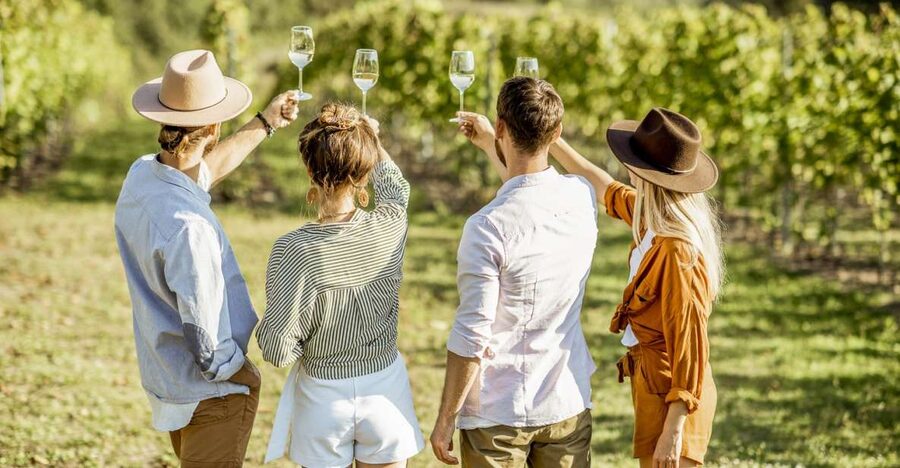 Sonoma Valley: Guided Winery Tour with Picnic Lunch - The Guide Makes the Day Work