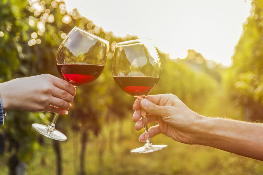 Sonoma Valley: Guided Winery Tour with Picnic Lunch - What the $147 Price Really Covers