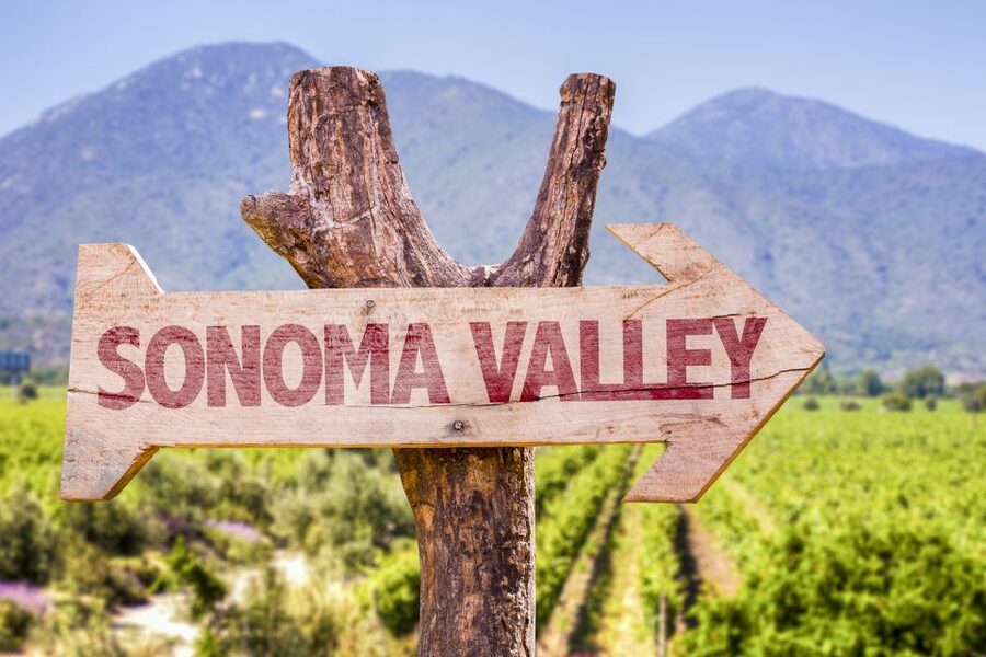 Sonoma Valley: Guided Winery Tour with Picnic Lunch - The Small Group Makes a Difference