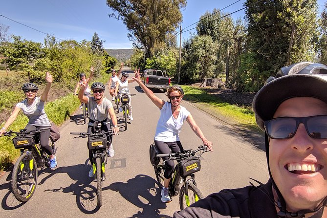 Sonoma Valley Pedal Assist Bike Tour - A picnic lunch that keeps the day moving