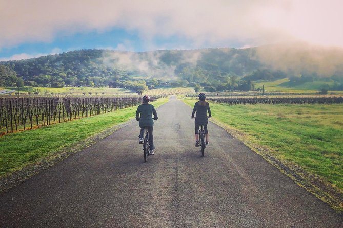 Sonoma Valley Pedal Assist Bike Tour with Lunch - Why this bike tour works so well in Sonoma