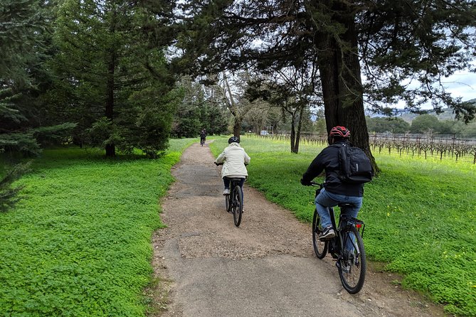 Sonoma Valley Pedal Assist Bike Tour with Lunch - Fresh picnic lunch at a winery