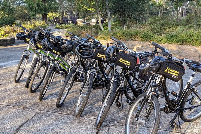 Sonoma Valley Pedal Assist Bike Tour - Two wineries, with the final choices kept flexible