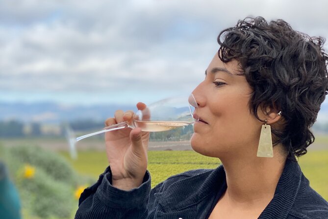 Sonoma Valley Sidecar Wine tours - The real cost: $390, plus the tasting fees