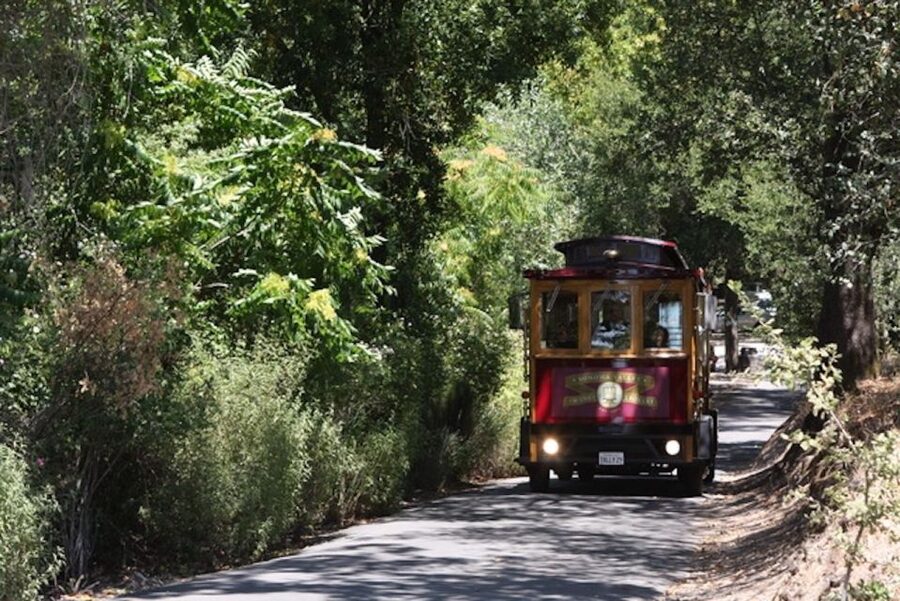 Sonoma Valley: Wine Trolley Tasting Tour with Lunch - Who Will Enjoy This Best