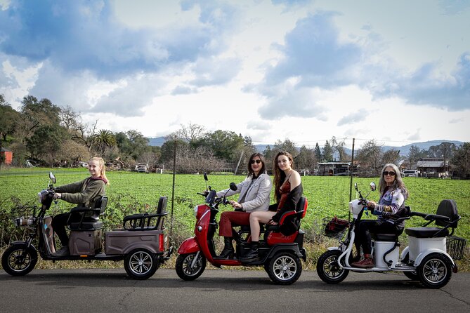 Sonoma Wine Country Electric Trike Tour - 3 hours - Key points before you book