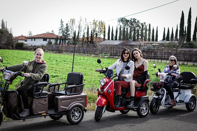 Sonoma Wine Country Electric Trike Tour - 3 hours - A local winery for 45 minutes