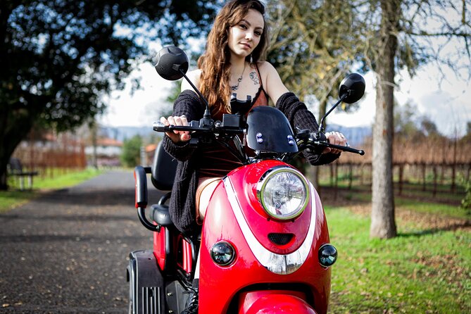 Sonoma Wine Country Electric Trike Tour - 3 hours - What the guides add to the ride
