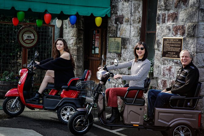 Sonoma Wine Country Electric Trike Tour - 3 hours - Is $175 a fair price?