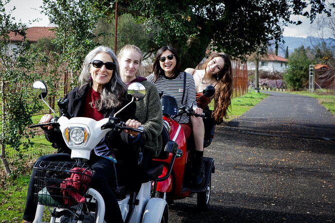 Sonoma Wine Country Electric Trike Tour - 3 hours - The first 90 minutes: vineyards, hills, and country roads