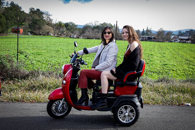 Sonoma Wine Country Electric Trike Tour - 5 hours - Why a Sonoma trike is a smart way to see the valley