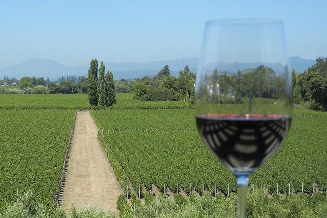 Sonoma Wine Tour with 2 Tastings Included Small-Group Half Day - From San Francisco streets to Golden Gate views