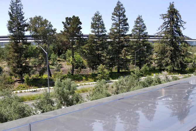 SUV Tour To Silicon Valley Including Stanford Walking Tour - Oracle Parkway and the America’s Cup connection