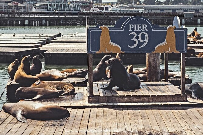 The Best of San Francisco: Private Half-Day Walking Tour - Cable car to Nob Hill